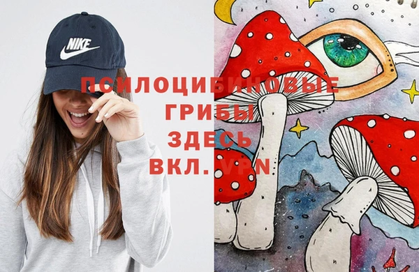 мескалин Каменка
