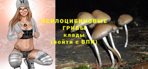 дживик Карпинск